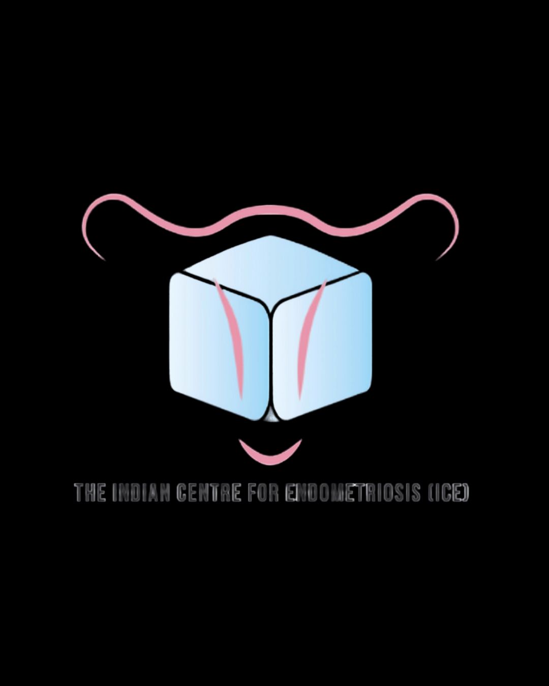 Cenre For Endo logo